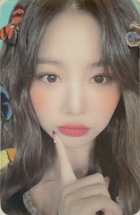 火花 k4 特典卡 蝴蝶珍