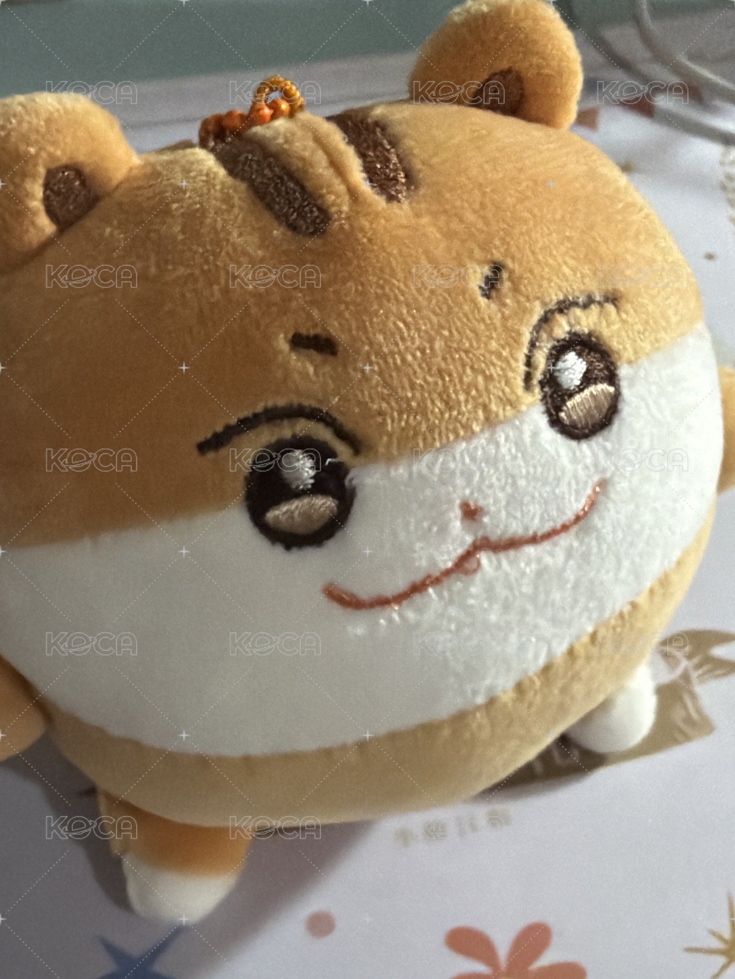 壓力球 弘中