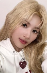 mini 14 sr 1.0 簽售卡 