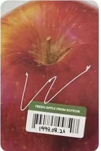 小娟組（小卡+ID卡+拍立得）