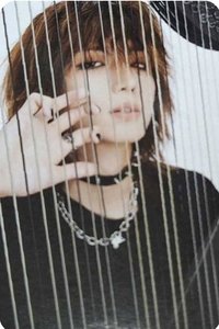 LIVE and FALL Year Book 年曆卡 