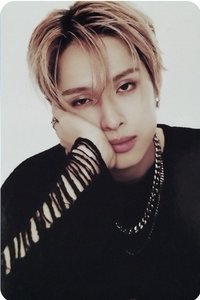 LIVE and FALL 周邊卡 票卡組