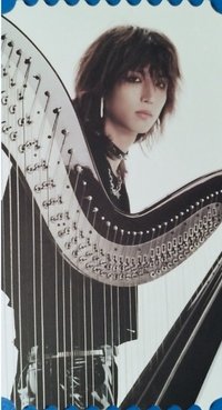 LIVE and FALL 周邊卡 票卡組