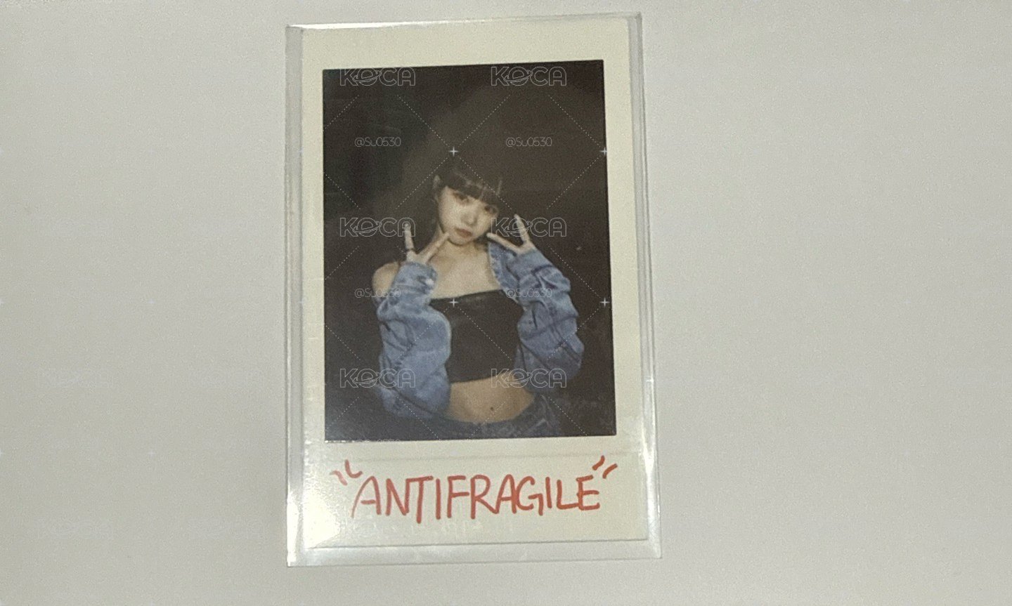 ANTIFRAGILE 官周拍立得 采源