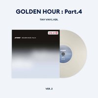 GH4 target TINY VINYL 黑膠唱片 Single Ver.2