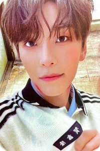 迷一 JEWEL CASE 專輯卡 單封