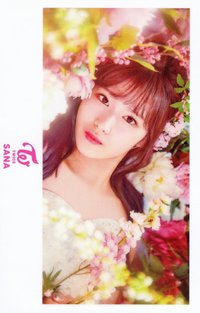 二巡 周邊卡 日周卡 109小卡 婚紗系列