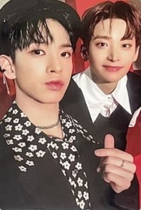 SUN SEEKER 專輯卡 馬具雙人卡