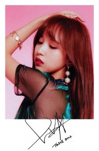 YES or YES 專輯卡 預售禮