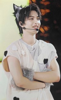 樓非樓 周邊卡 4動物塑 單人固卡