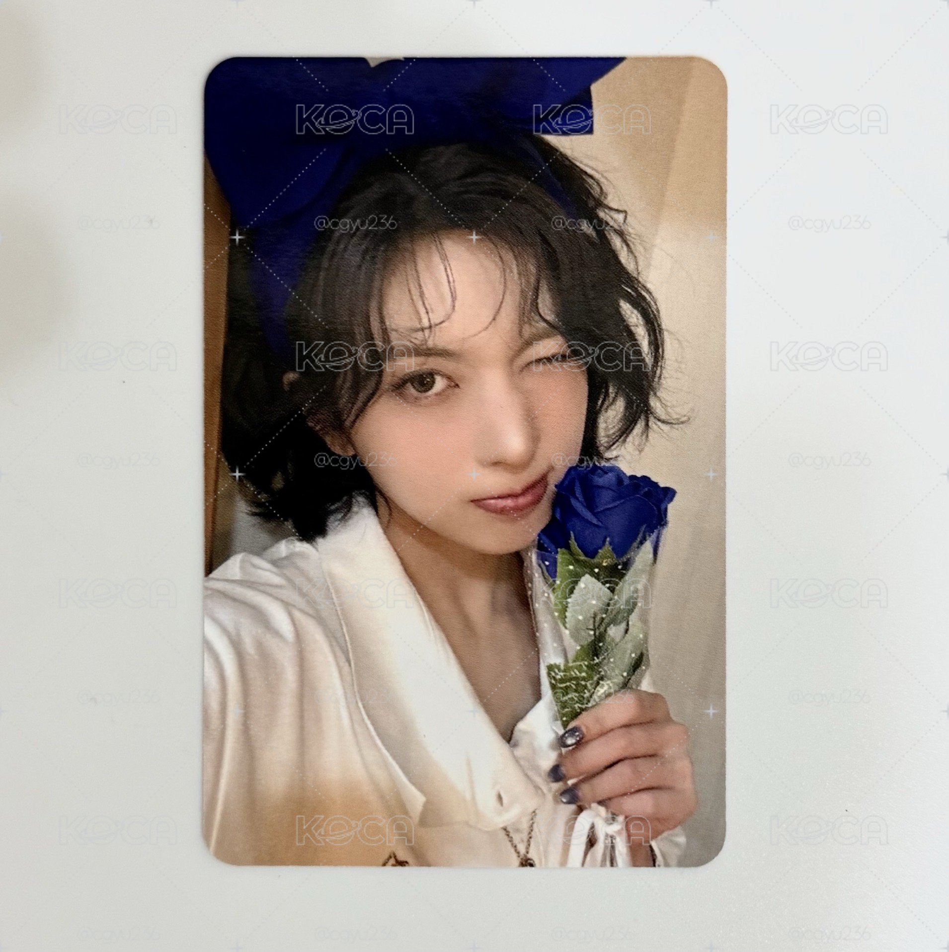 藍玫瑰裴