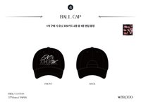 25’世巡安可場 棒球帽 