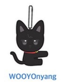 ANITEEZ IN ICE CITY 吊娃 PLUSH PHOTOCARD HOLDER