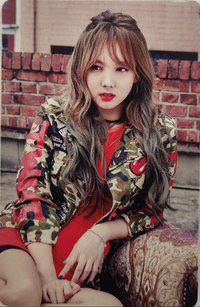 2017 FM 入場卡 / 場限卡 