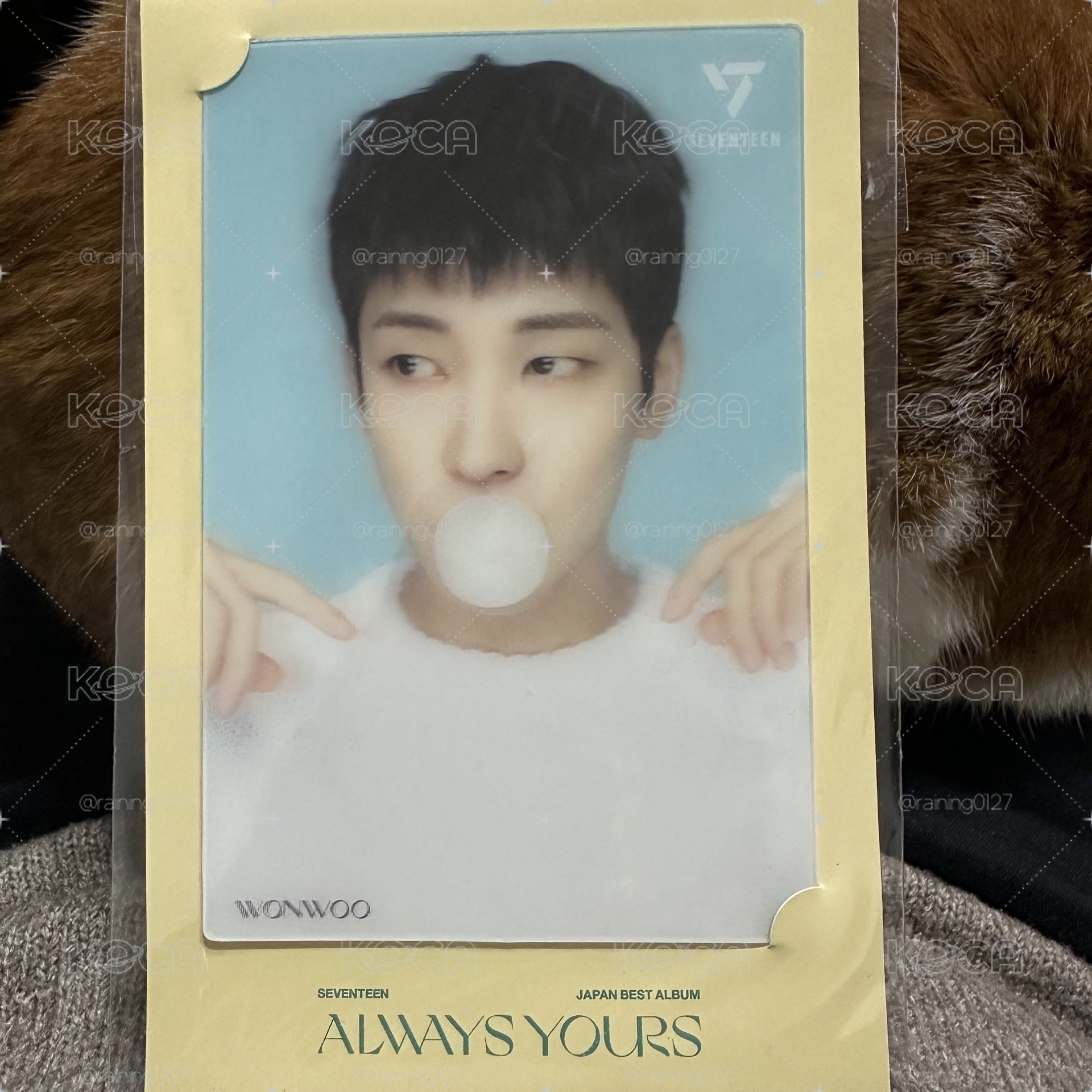 ALWAYS YOURS 3D氣球明信片小卡組 哲/圓/碩