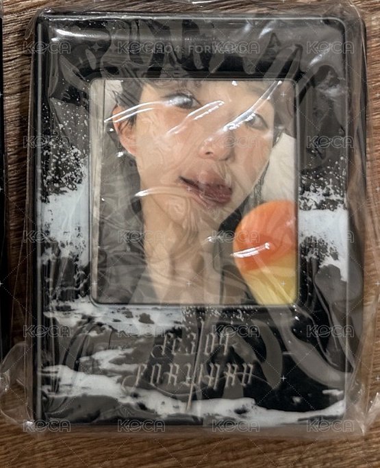 嫄（多帶莉私訊改價600