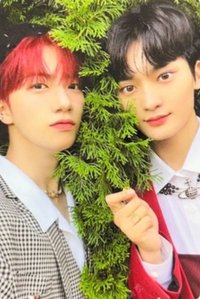 SUN SEEKER 專輯卡 咸金雙人卡