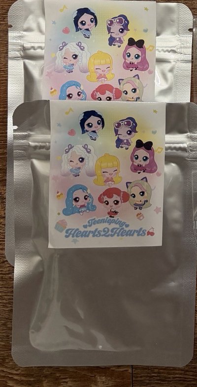Teenieping聯名 鑰匙圈吊飾 登山扣