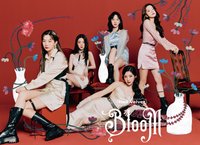 Bloom 專輯 初回限定 CD+Blu-ray