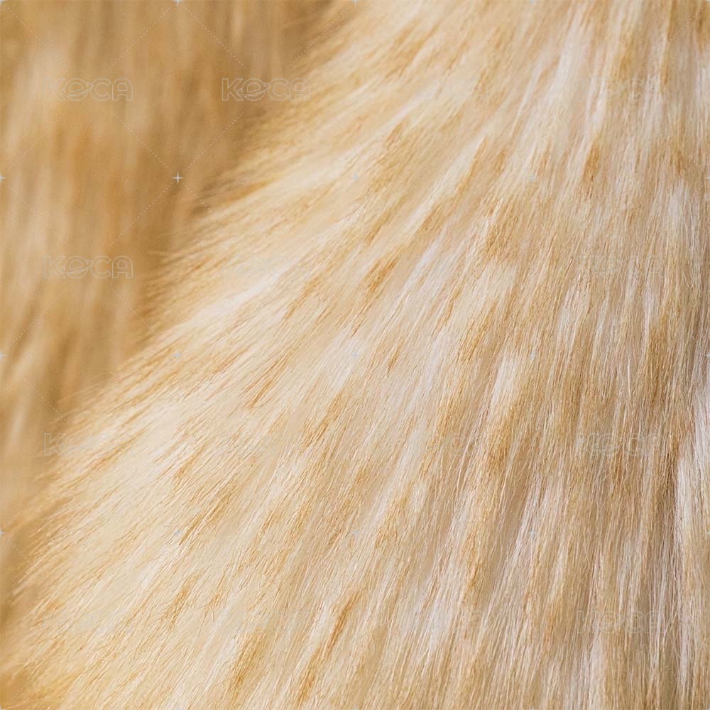 Springlowe Luxe Bunny