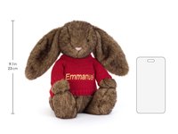 Hoppleston Luxe Bunny Personalised Red Jumper