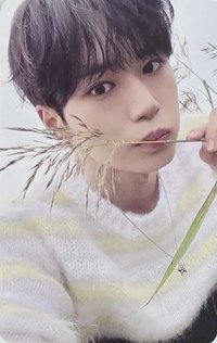 迷一 專輯卡 STAR ROAD ver.