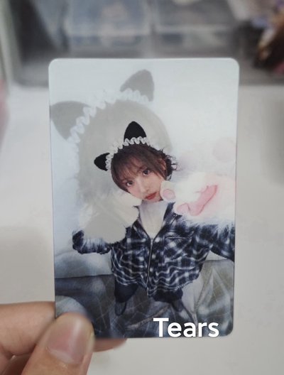 Nmixx喵喵拳變化卡友