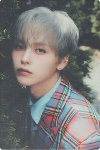 SUN SEEKER 專輯卡 SECRET CARD