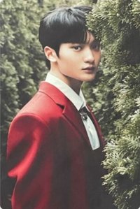 SUN SEEKER 專輯卡 SECRET CARD