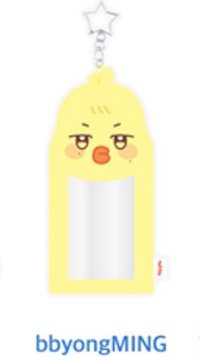 ANITEEZ IN ICE CITY 卡套 (組) PLUSH PHOTOCARD HOLDER KEYRING