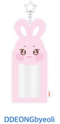 ANITEEZ IN ICE CITY 卡套 (組) PLUSH PHOTOCARD HOLDER KEYRING