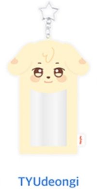 ANITEEZ IN ICE CITY 卡套 (組) PLUSH PHOTOCARD HOLDER KEYRING