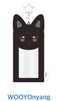 ANITEEZ IN ICE CITY 卡套 (組) PLUSH PHOTOCARD HOLDER KEYRING