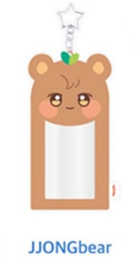 ANITEEZ IN ICE CITY 卡套 (組) PLUSH PHOTOCARD HOLDER KEYRING