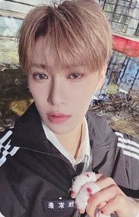 迷一 JEWEL CASE 專輯卡 單封