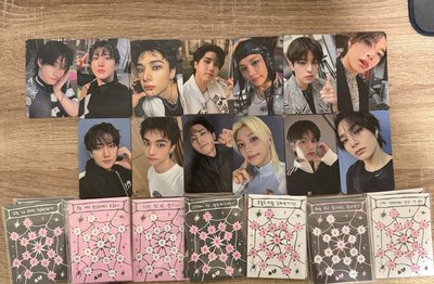 Stray kids Do it 電子專 已拆全專 空專 platform plve ver