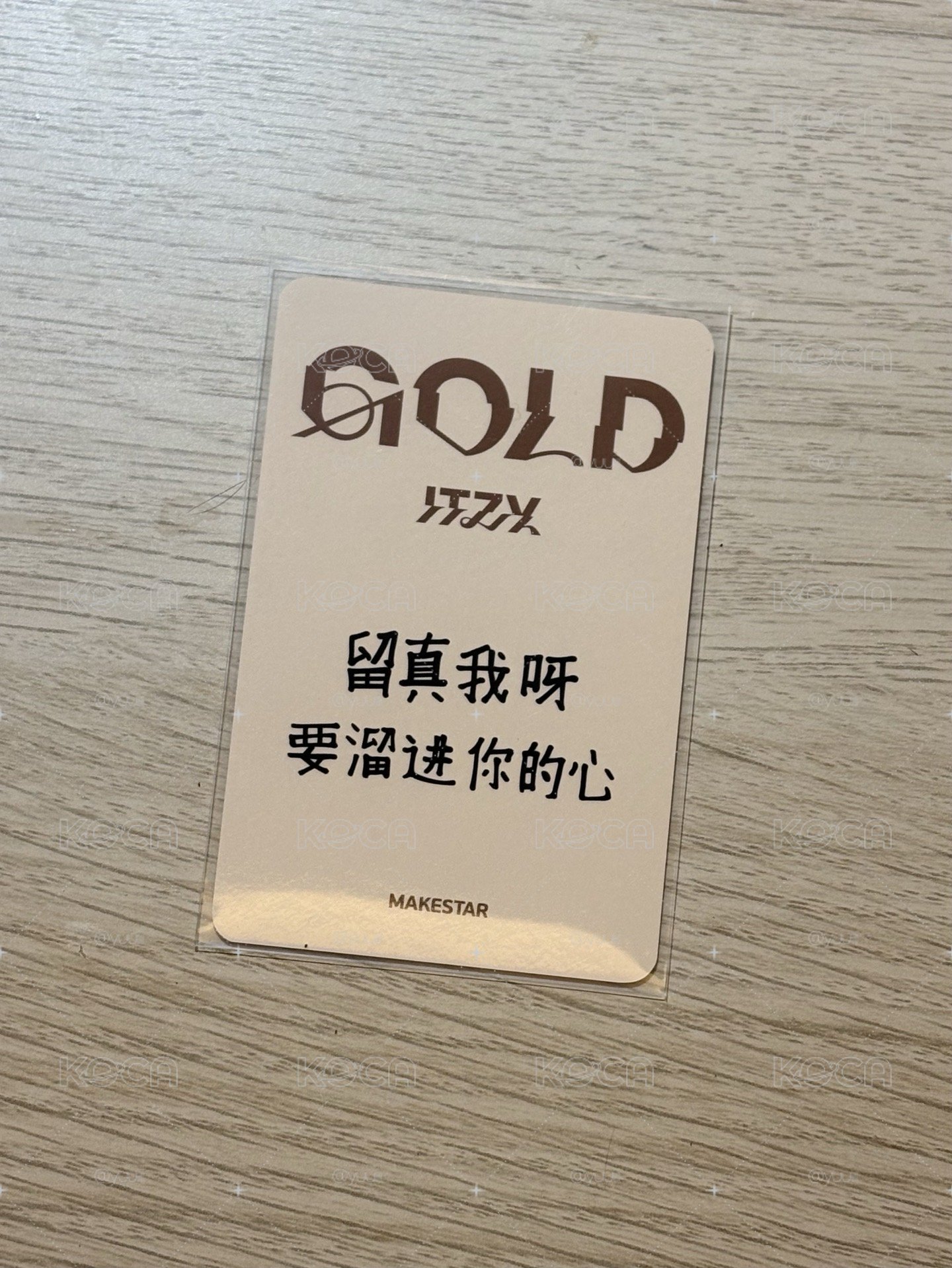 MS卡皮巴拉 留