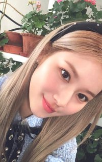 TWICE green project jyp 周邊卡 環保盒B