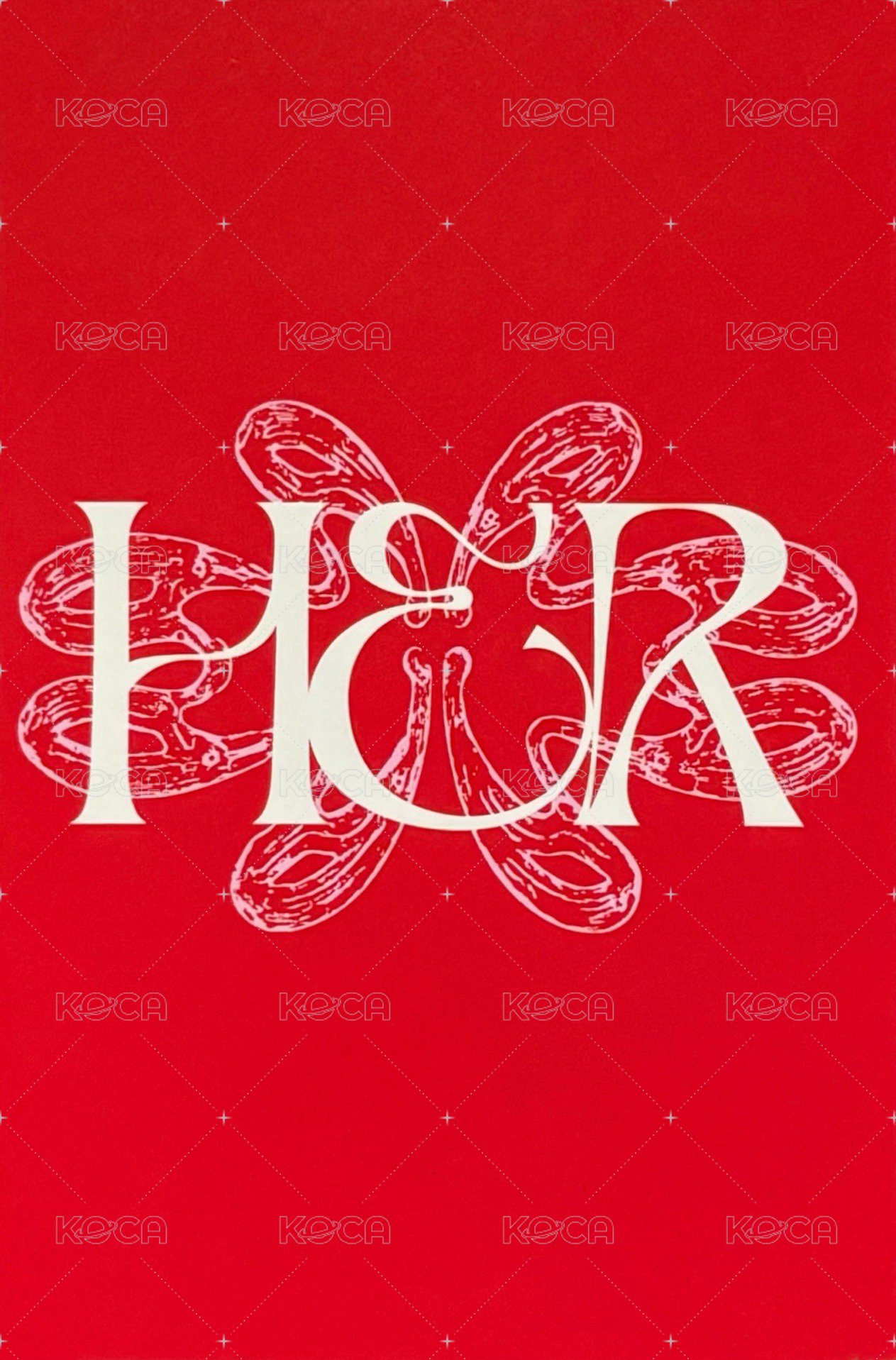 HER快閃 周邊卡 磁吸卡套卡 背面