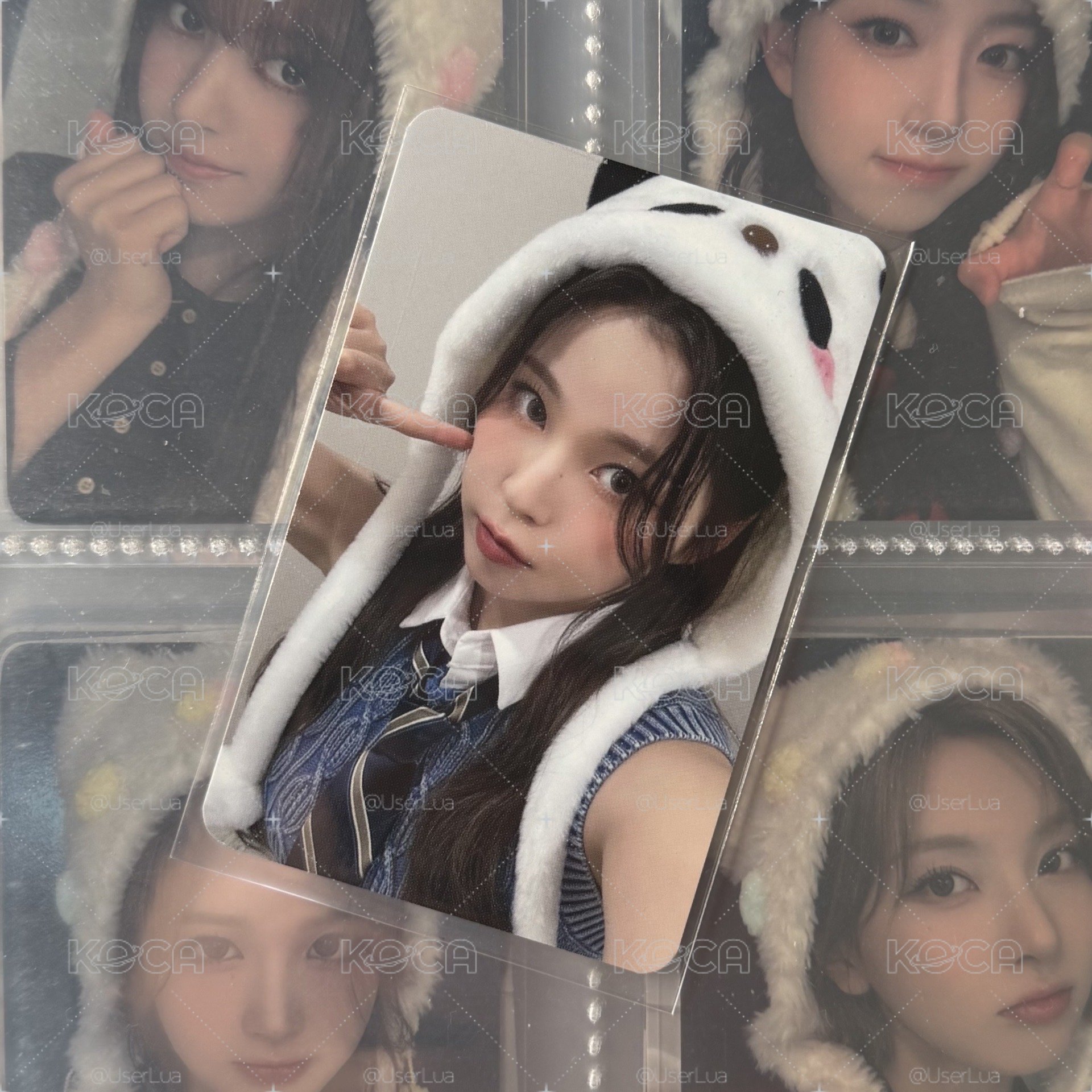 🐳expérgo ms熊貓 圭