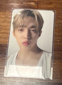 17（多帶一張）