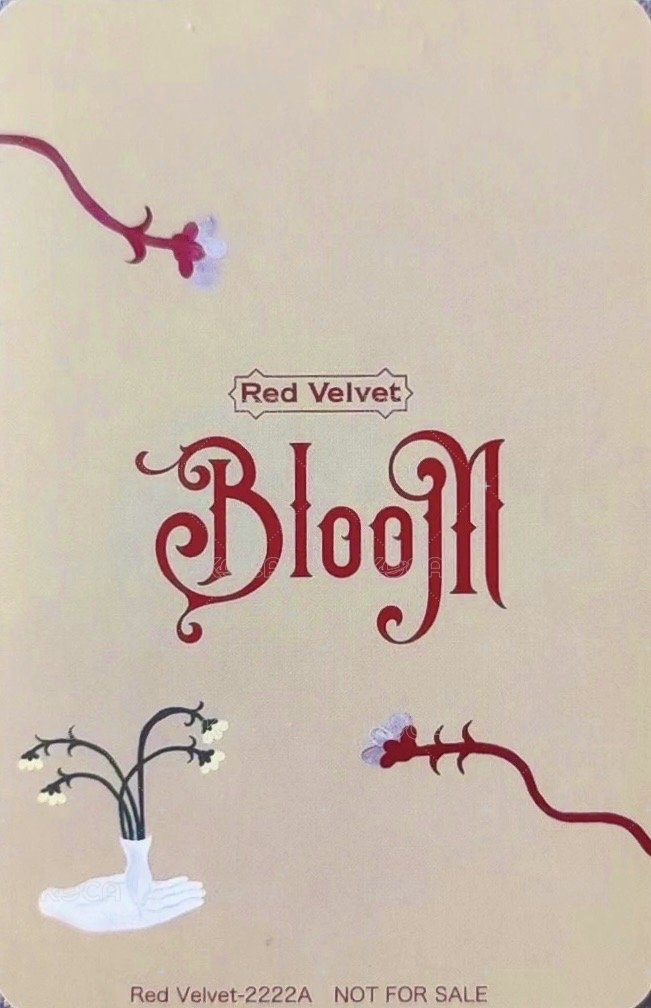Bloom 專輯卡 團卡 背面