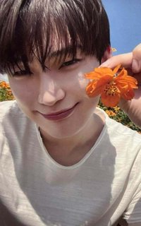 迷五 wvs專 專輯卡 