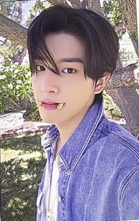 25年D社 GOLDEN AGE  雜誌卡 