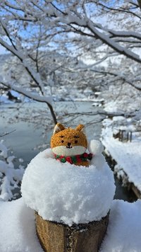 May ʕ⁠ ⁠ꈍ⁠ᴥ⁠ꈍ⁠ʔ