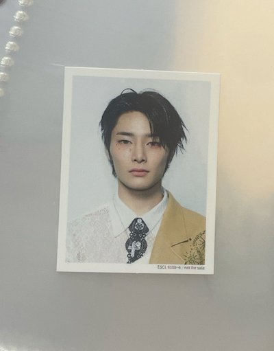 Hollow B專證件照/寅