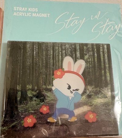stray kids leebit 磁鐵