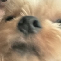 J7（下單前麻煩先看我主頁）