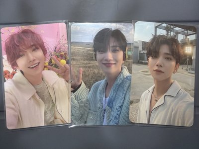 樹莓秀、藍毛衣秀、神燈秀