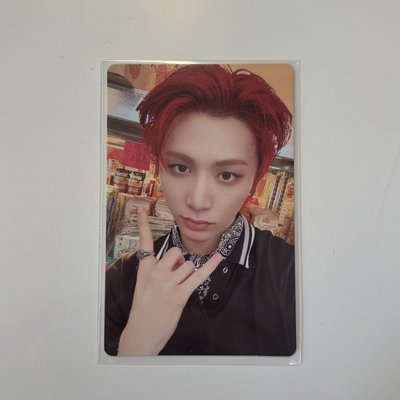 ［NO GENRE］電子專 專輯卡 泰山